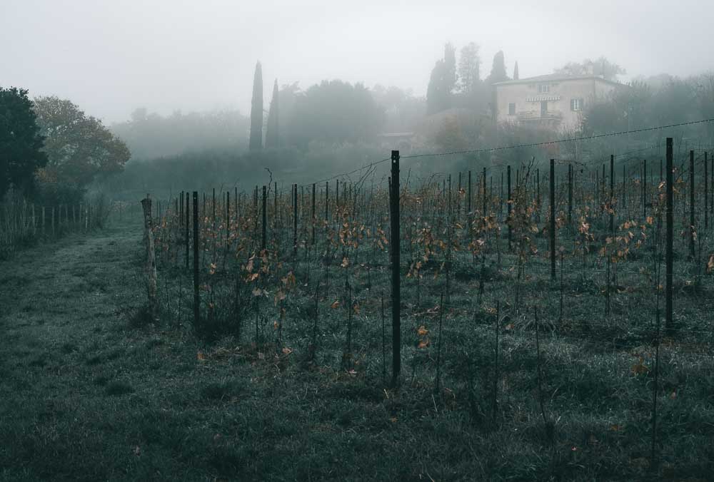 06_Podere Casaini-1
