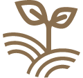 ICO-PIANTA-120 ICO-PIANTA-120