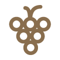 ICO-UVA-120 ICO-UVA-120